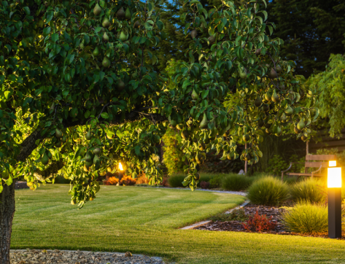 5 Electrical Projects to Boost Your Home’s Value This Summer in Colorado
