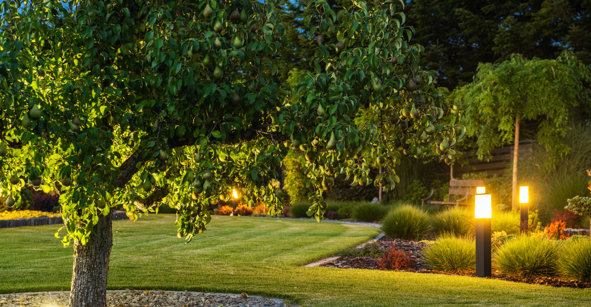 Top 5 Electrical Projects to Boost Your Home’s Value This Summer in Colorado