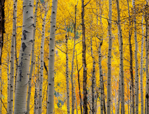 Why You Should Schedule a Fall Electrical Inspection Before Winter Hits Colorado