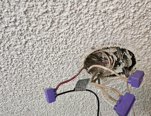 Customer Spotlight: Smart Solutions for a Returning Customer