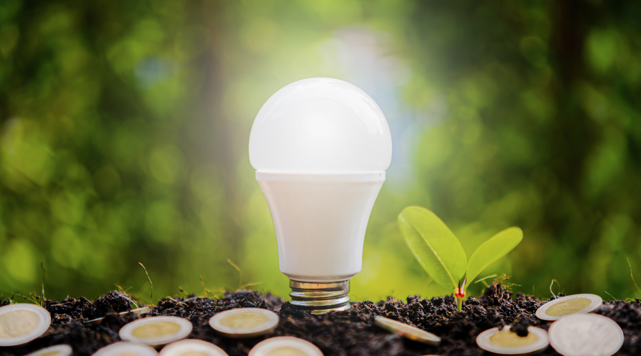 light bulb in dirt surrounded by coins - earth day